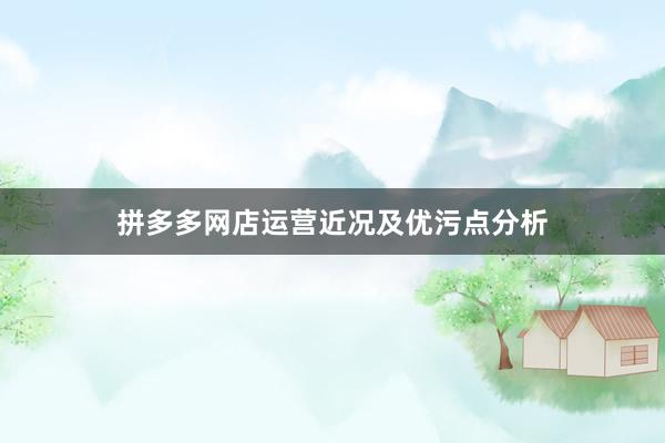 拼多多网店运营近况及优污点分析